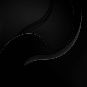 Meet your Posher, Roy